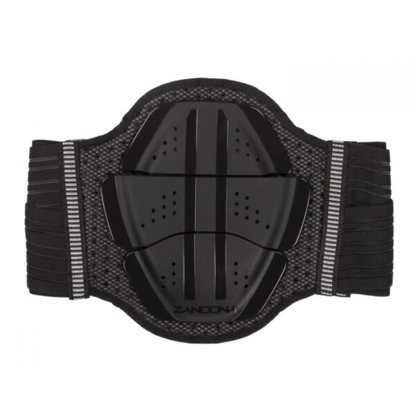 PROTEZIONI MOTO Shield evo x3